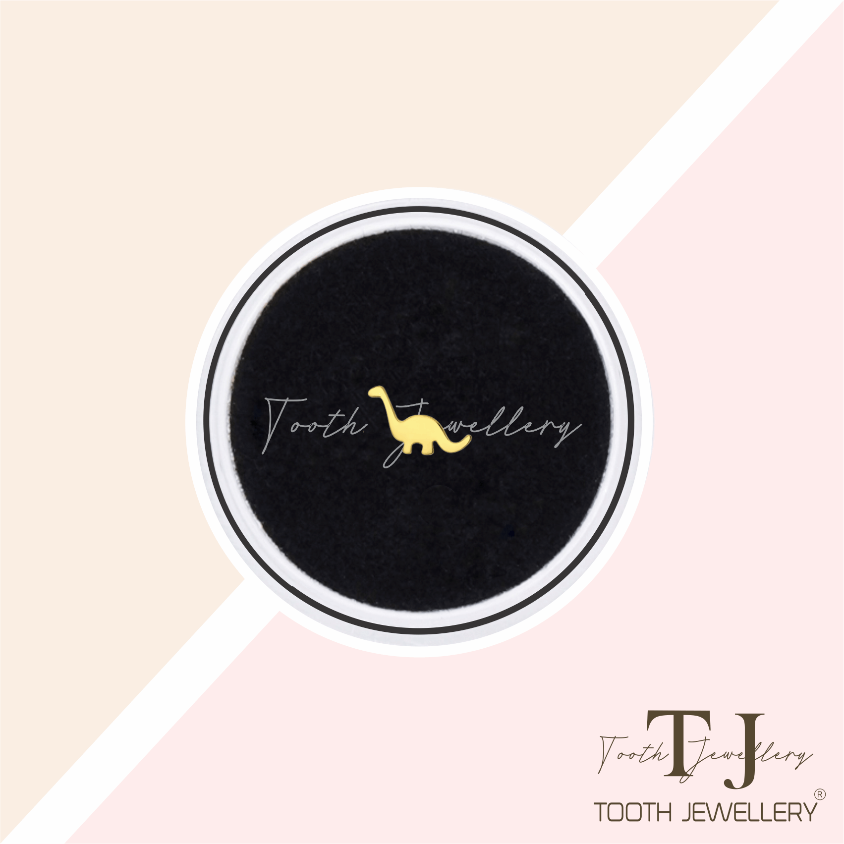 Dinosaur Tooth Gem Tooth Jewellery