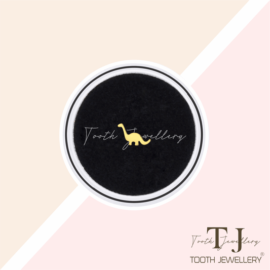 Dinosaur Tooth Gem Tooth Jewellery