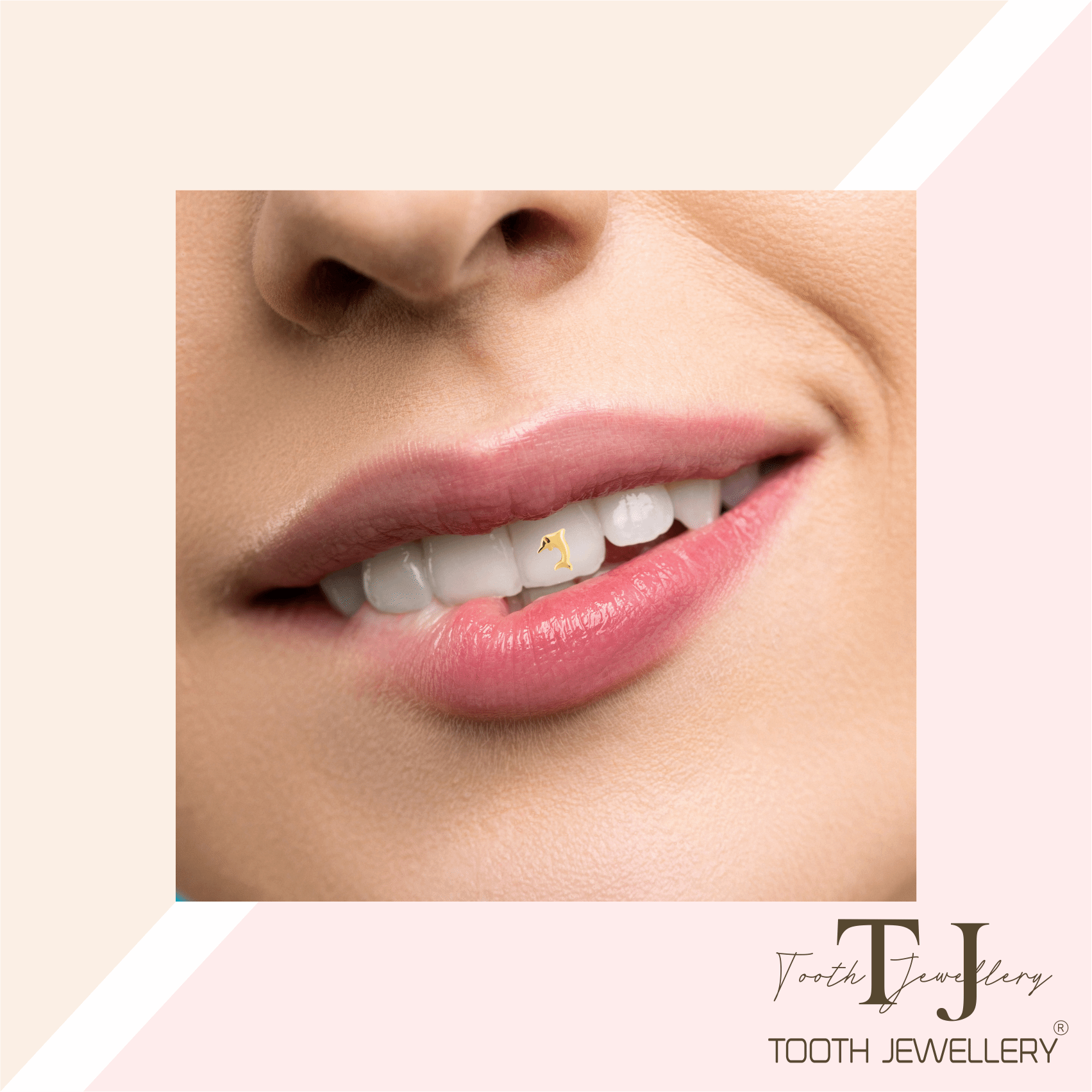 Dolphin Tooth Charm Tooth Jewellery